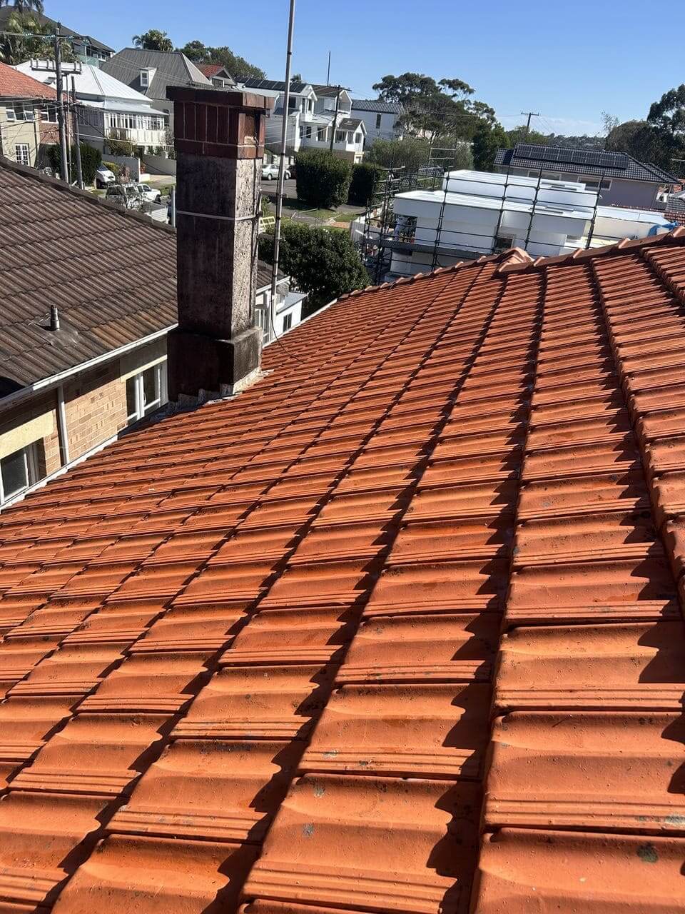Roof Cleaning