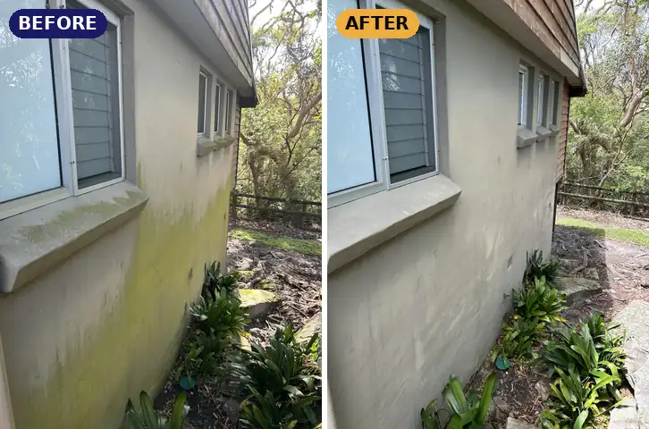 Soft wash: green algae off rendered walls, before and after
