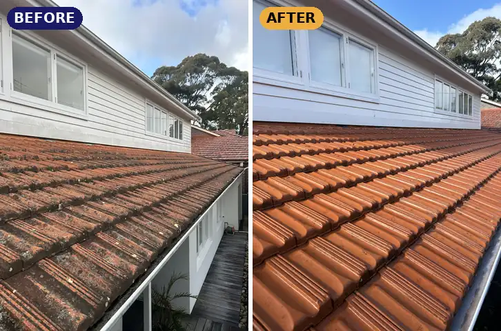 Roof wash: lichen removed from terracotta tiles, before and after