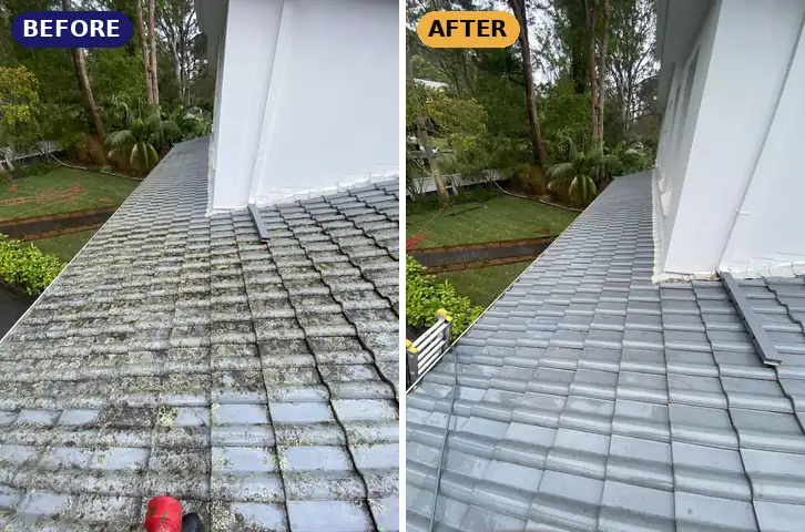 Concrete tile roof: lichen removed, before and after